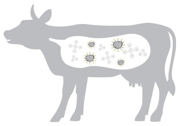 活性炭改善哺乳動物消化系統